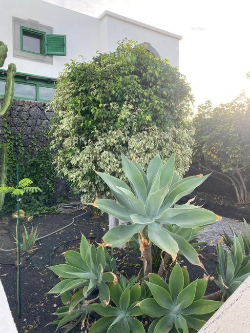 蒂亚斯Macaronesia Casa Privada Con Piscina En Lanzarote别墅 外观 照片